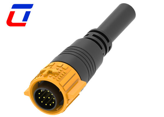 Cavo maschio 12 pin connettore impermeabile filo a bordo IP67 per la trasmissione del segnale